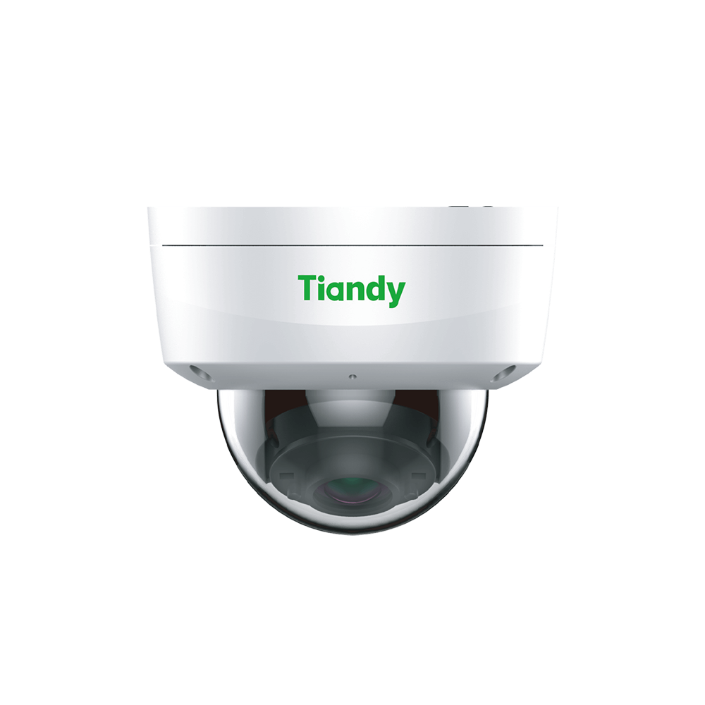 2MP Fixed Starlight IR Dome Camera (TC-C32KS)