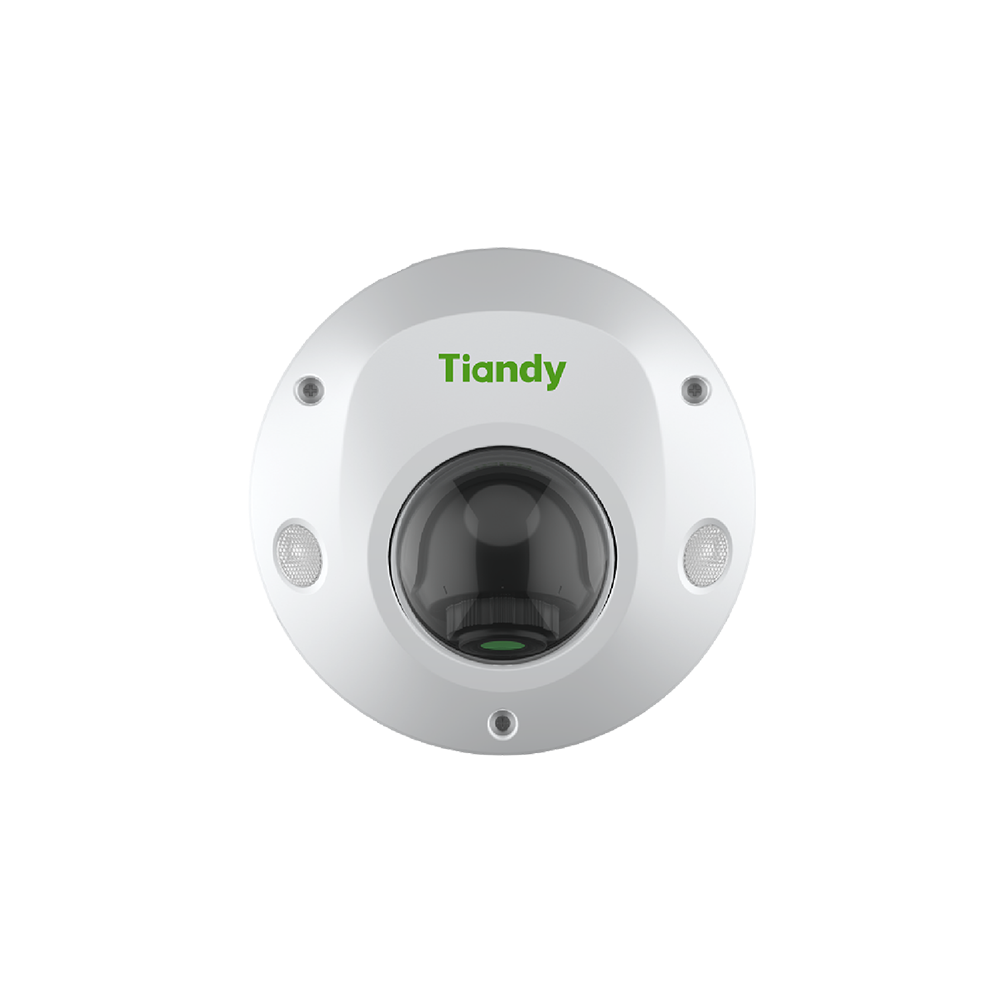 2MP Mini Dome Camera (TC-C32PS)