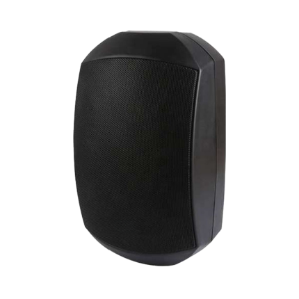 2-Way Indoor Outdoor Wall Mount Speaker TM-640DSW